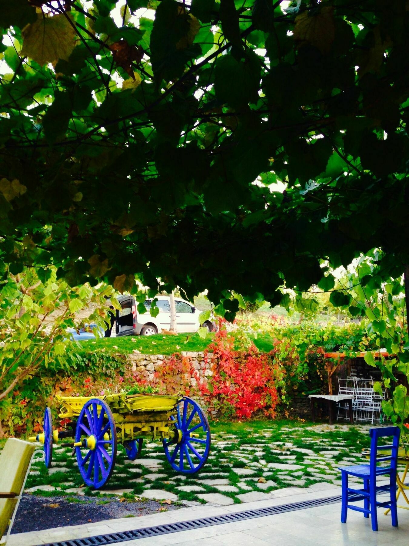 Yeni Konak Hotel Safranbolu Exteriér fotografie